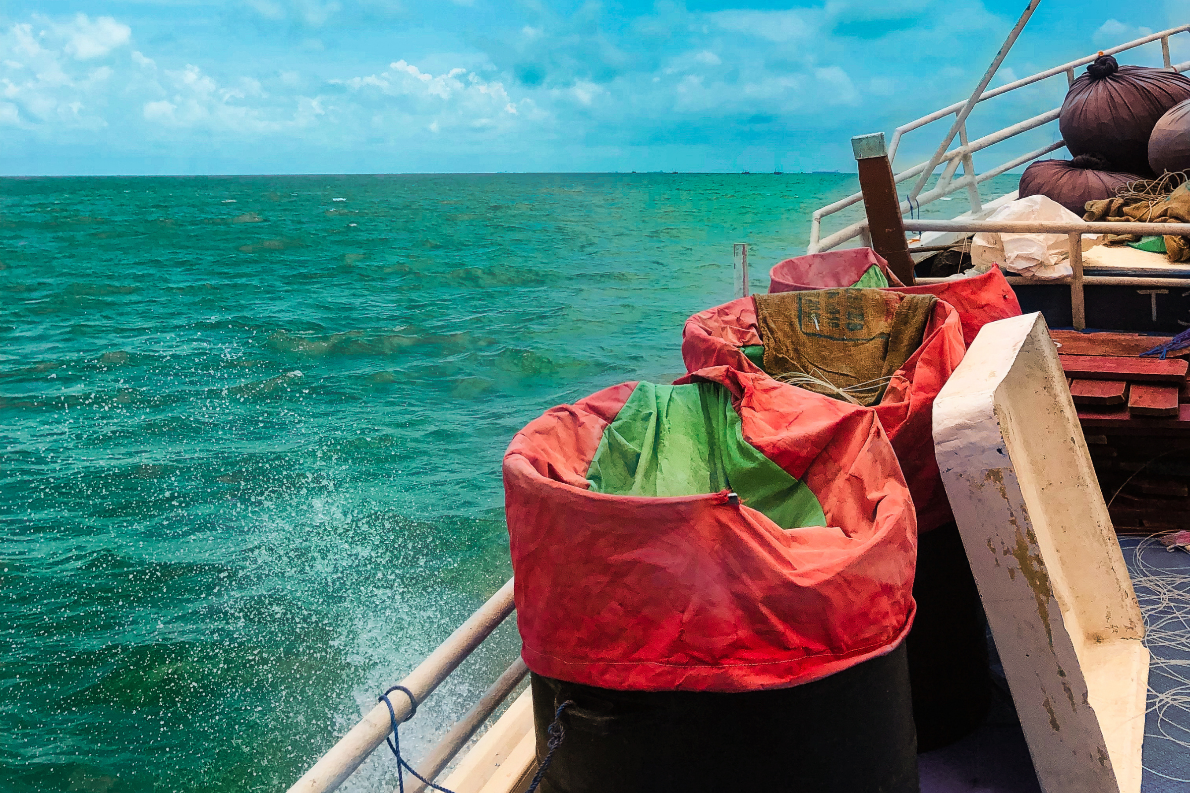 wattala (sri lanka) (3).webp